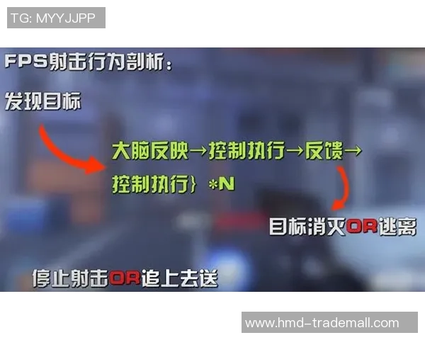 科学CSGO灵活性训练方法提升游戏技巧与反应速度的全面指南